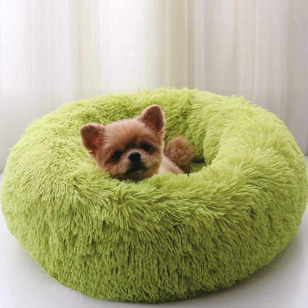 Soothing Bed