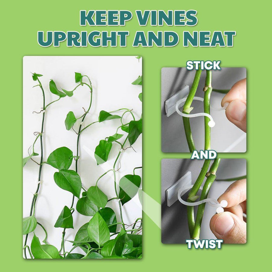 Wall Vines Invisible Plant Clips-100pcs