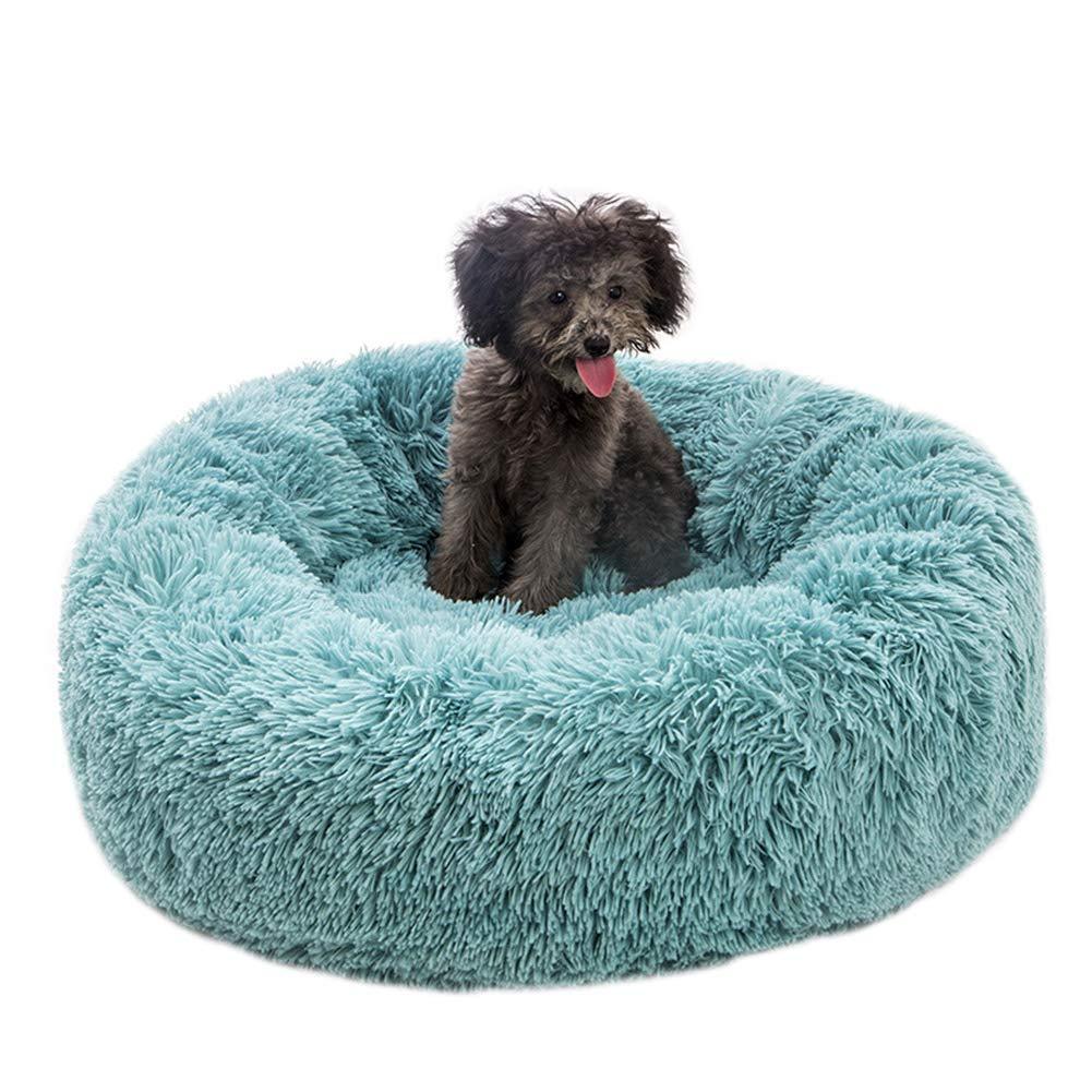Soothing Bed