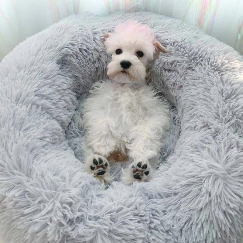 Soothing Bed