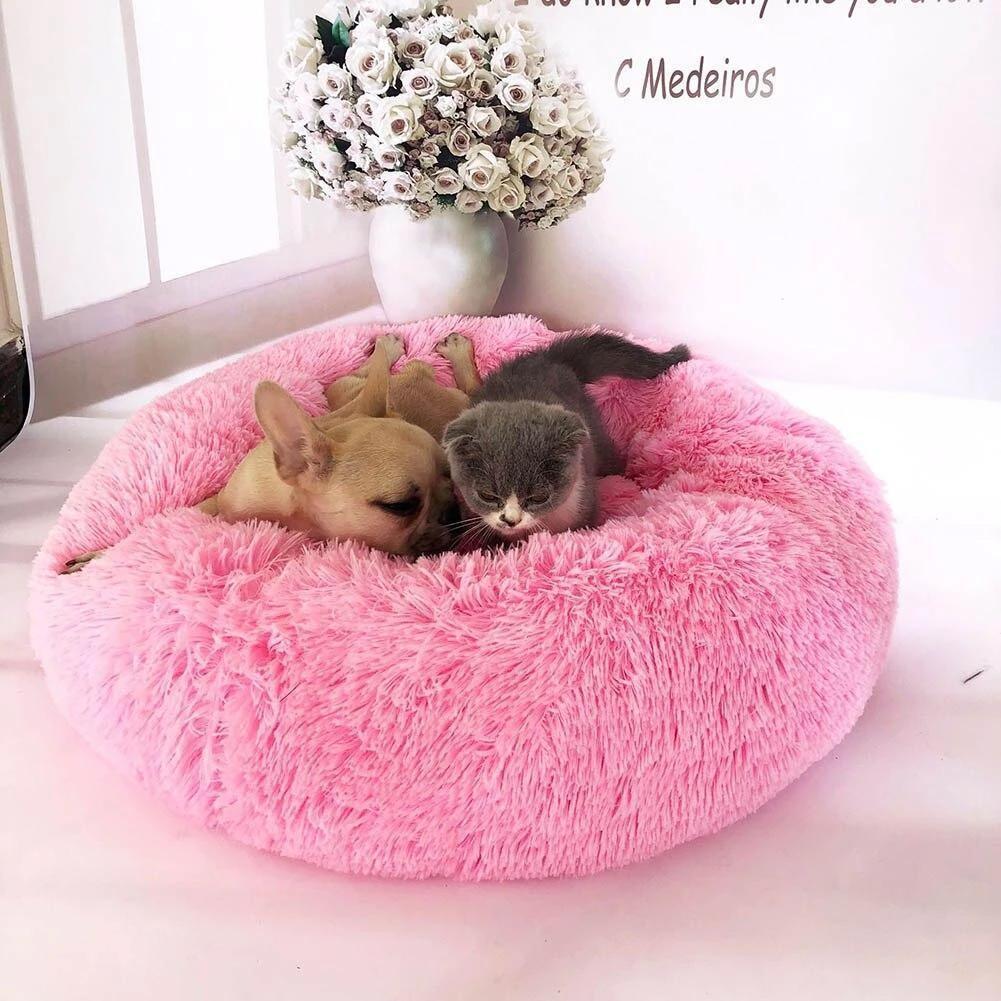 Soothing Bed