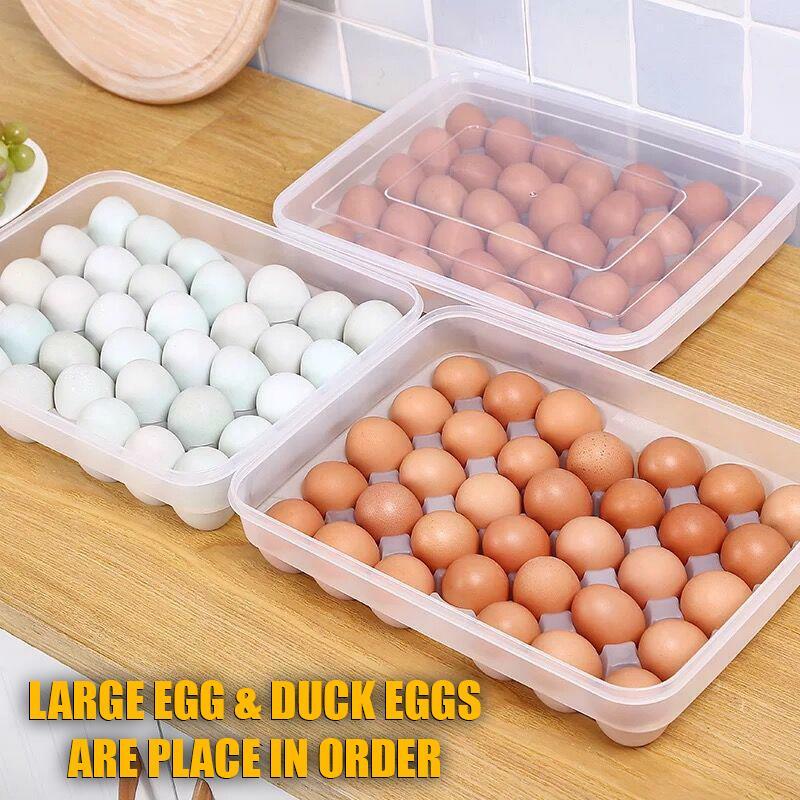 Creative Fresh Egg Storage Box