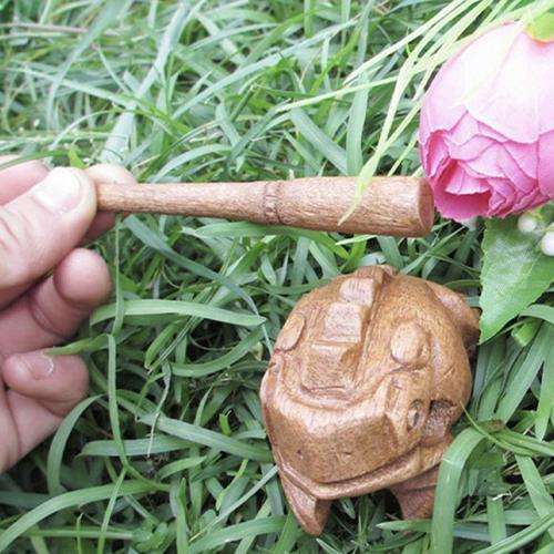 The Singing Frog