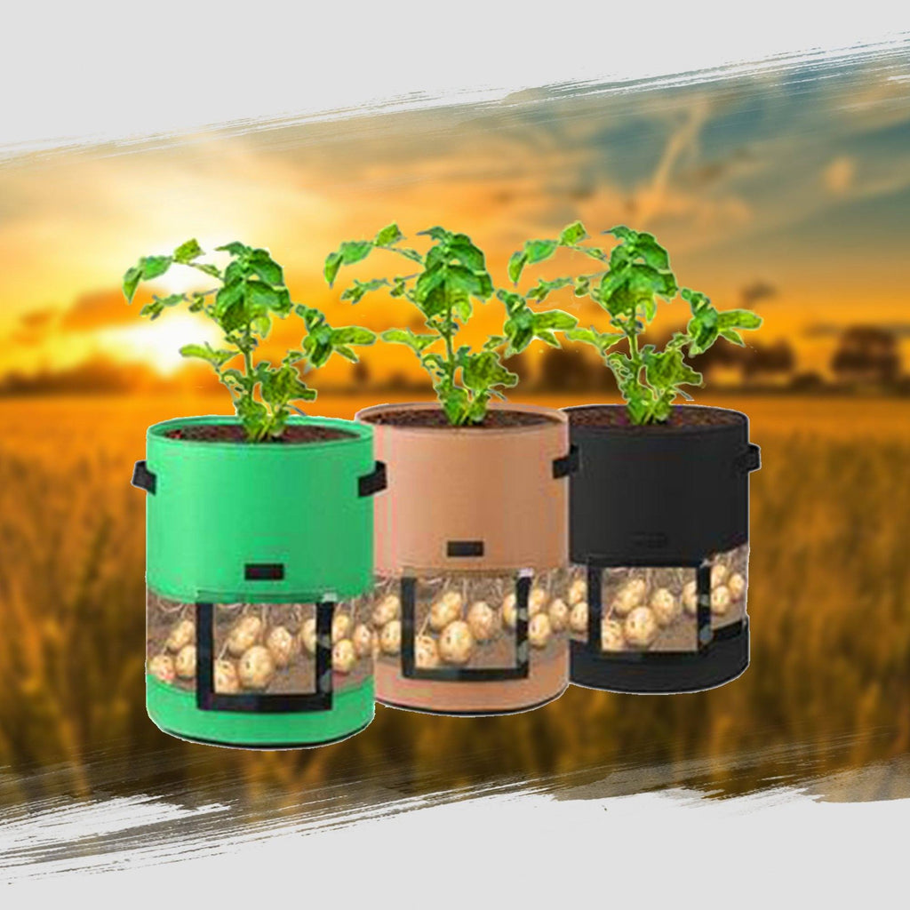 Transparent Visible Potato Planter